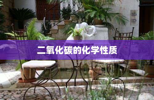 二氧化碳的化学性质