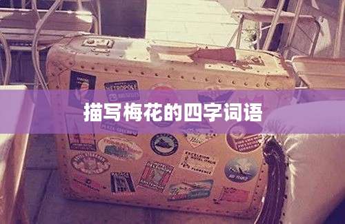 描写梅花的四字词语