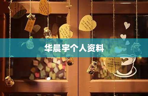 华晨宇个人资料