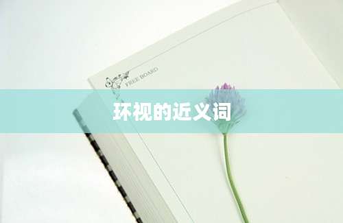 环视的近义词