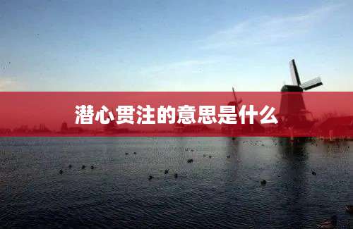 潜心贯注的意思是什么
