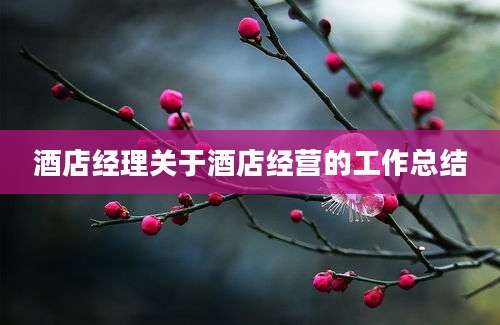 酒店经理关于酒店经营的工作总结