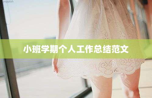 小班学期个人工作总结范文