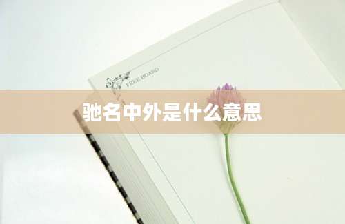 驰名中外是什么意思