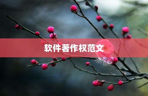 软件著作权范文