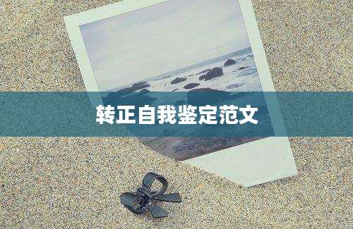 转正自我鉴定范文