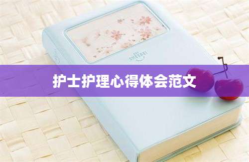 护士护理心得体会范文