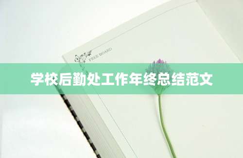 学校后勤处工作年终总结范文