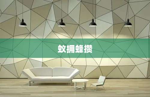 蚁拥蜂攒