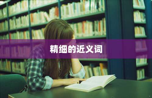 精细的近义词