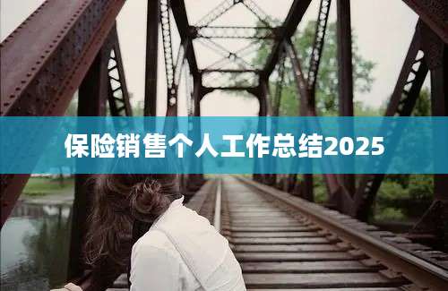 保险销售个人工作总结2025