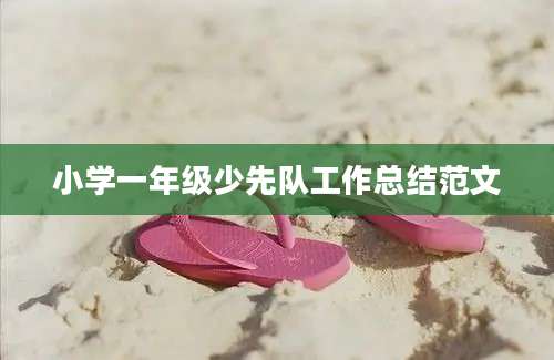 小学一年级少先队工作总结范文