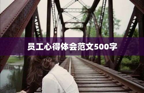 员工心得体会范文500字