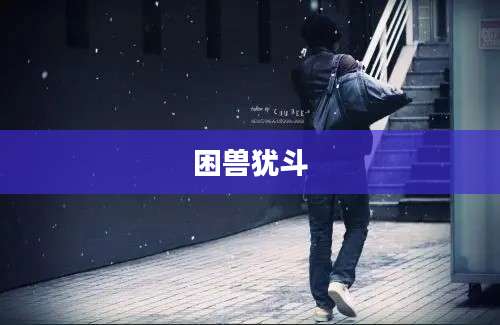 困兽犹斗