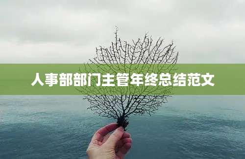 人事部部门主管年终总结范文