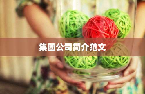 集团公司简介范文