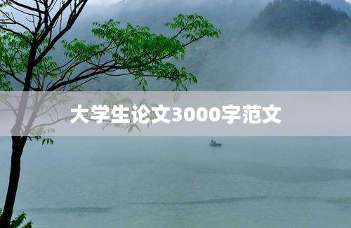 大学生论文3000字范文