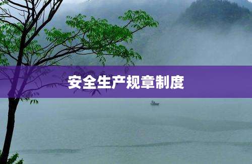 安全生产规章制度