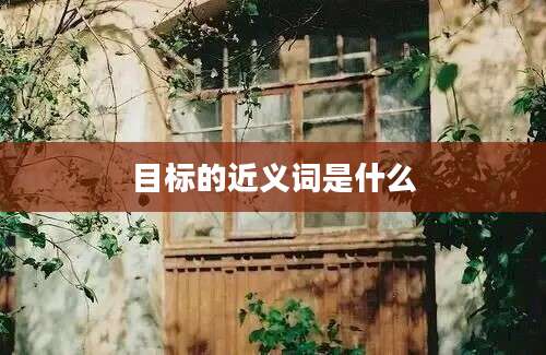 目标的近义词是什么