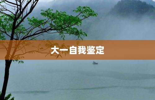 大一自我鉴定