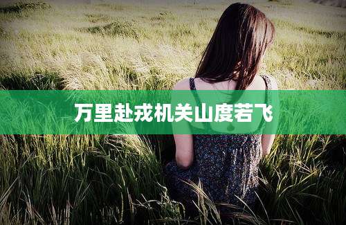 万里赴戎机关山度若飞