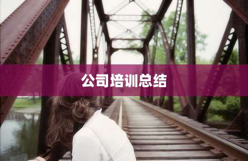 公司培训总结