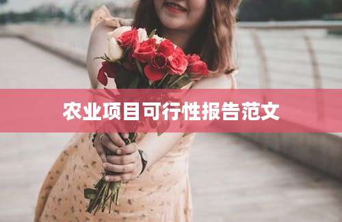 农业项目可行性报告范文