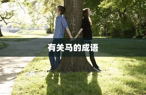 有关马的成语