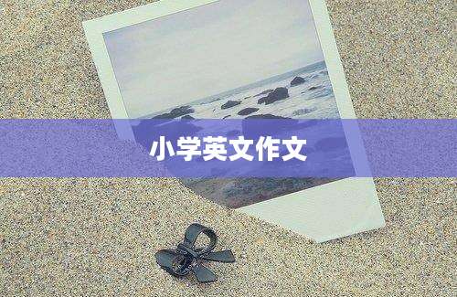 小学英文作文