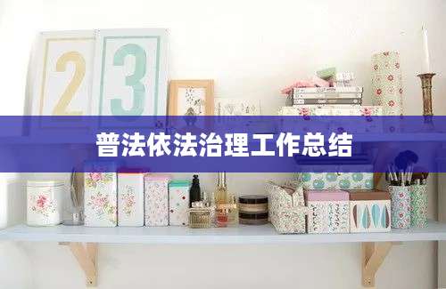 普法依法治理工作总结