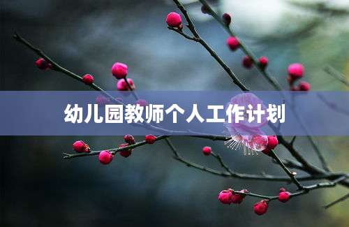 幼儿园教师个人工作计划