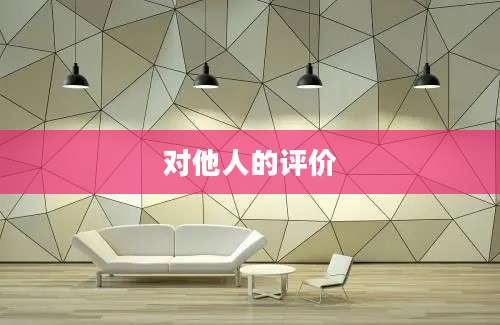 对他人的评价
