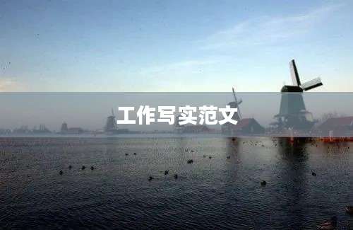 工作写实范文