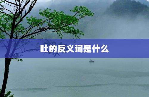 吐的反义词是什么
