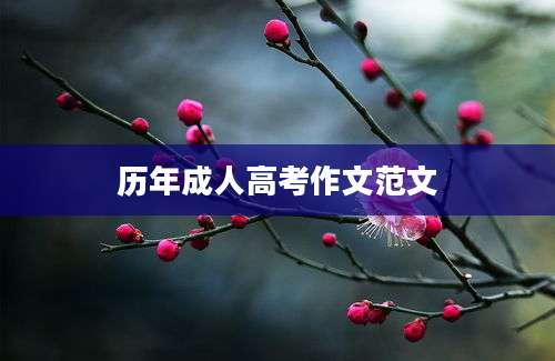 历年成人高考作文范文