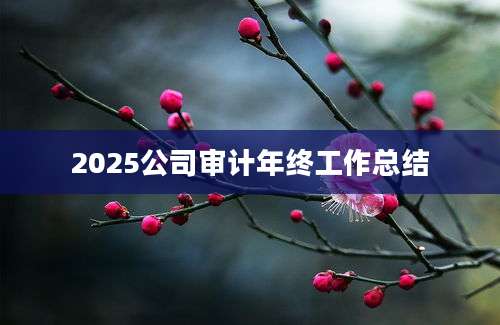 2025公司审计年终工作总结