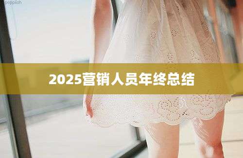 2025营销人员年终总结
