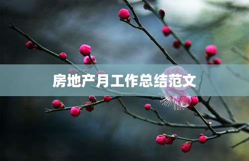 房地产月工作总结范文