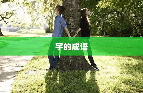 宇的成语