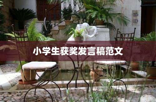 小学生获奖发言稿范文