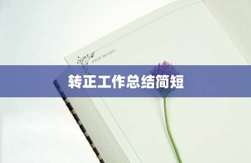 转正工作总结简短