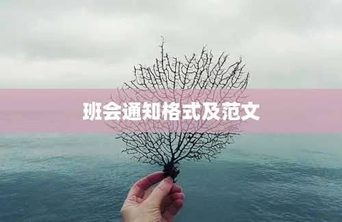 班会通知格式及范文