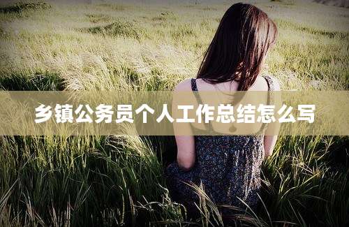 乡镇公务员个人工作总结怎么写