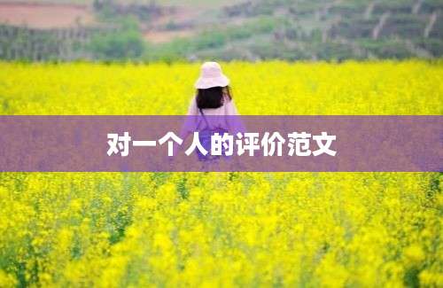 对一个人的评价范文