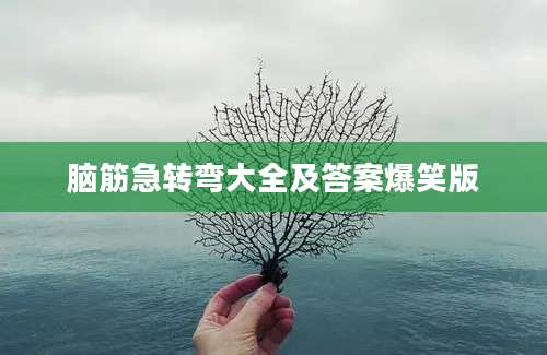 脑筋急转弯大全及答案爆笑版
