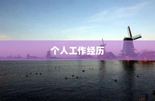 个人工作经历