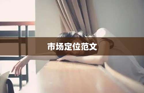市场定位范文
