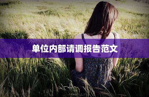 单位内部请调报告范文