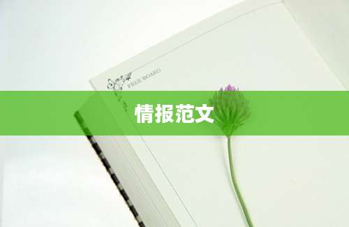 情报范文