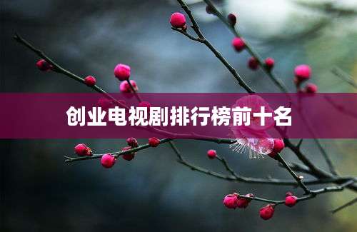 创业电视剧排行榜前十名